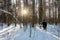 man in warm clothes with hand saw on his shoulder walks through beautiful winter forest. Rear view.