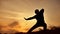 Man warrior martial arts monk practicing silhouette karate kung Fu on the grassy horizon at sunset. Karate kick leg. Art