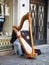 The man was playing Harp at street in Paris.