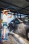 A man washes his car at a self-service car wash using a hose with pressurized water