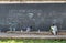 Man watches child draw on outdoor blackboard, Paris