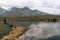 A man watching cows swimming in a pond near the Koruldi Lake with a dream like view on the mountain range near Mestia in the