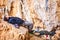 Man watching leading rock climber while belaying