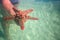 Man in water holding red starfish