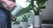 Man Watering a Flower with a Watering Can