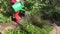 Man watering herbs in vegetable garden with green watering can, 4K