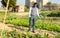 Man watering leaf beets