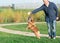 Man wearing blue shirt and jeans playing ball with jumping English bulldog on green grass on summer day