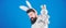 Man wearing bunny plush suit. Funny bunny man with beard and mustache. Easter symbol concept. Guy bearded hipster cute