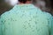 Man wearing a green shirt covered in flies