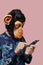 Man wearing a monkey mask uses a mobile phone