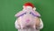 Man wearing Santa Claus`s cap with a symbol of 2019 piggy or mumps, New year and christmas, on green Chroma key