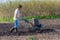 Man in wellingtons with cultivator ploughing ground in sunny day. Farmer plowing kitchen-garden in suburb. Land cultivation, soil