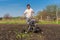 Man in wellingtons with cultivator ploughing ground in sunny day. Farmer plowing kitchen-garden in suburb. Land cultivation, soil