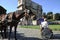 A Man in wheelchair enjoying outdoors roman vacations. On the background the Arch of