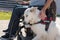 Man in a wheelchair petting his assistance dog lying calmly beside him