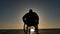 Man in wheelchair silhouette near sea horizon