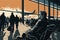 man in wheelchair with view of bustling airport terminal, navigating through crowds and lines