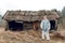 A man in a white protective overalls against the background of an old house. Protective suit against the virus