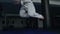 Man in white uniform training legs with punching bag in the gym. Slowly