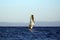 Man on a windsurfer in the Mediterranean Sea with waves