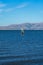 A man windsurfing at Palo Alto Boat Launch, California , USA