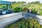 Man winemaker in hat loading harvest of grapes to agrimotor