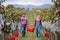 Man and woman carrying grapes in vineyard in autumn, harvest concept.