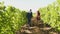 Man and woman carrying two baskets with grapes