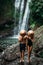 A man and a woman in conical hats at a waterfall. The couple travels the world. Vacation in Asia. A couple in love on a waterfall