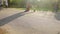 Man and woman enjoying romantic date in park, many people strolling, cycling