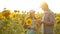 Man and woman farmers with a tablet work in the field with sunflowers. The concept of agriculture. agriculturist and