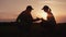 Man and woman farmers working in the field at sunset. On the field young shoots of corn