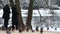 Man and the woman feed ducks in park in winter