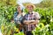 Man and woman gardeners in grapes tree yard