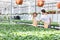 Man and woman gardeners talking among plants