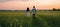 Man woman girlfriend together romance walking field lifestyle holding countryside couple summer nature sunny romantic