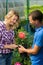 Man and woman in greenhouse caring for a rose in a pot