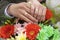 Man and woman hands in wedding rings