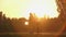 Man and woman having romantic date in beautiful park, walking in sunset rays