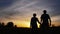 Man and woman kissing walking in meadow at sunset