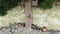 Man and woman lie on wooden footbridge over rough river