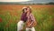 man and woman in poppy field. summer flower meadow. romantic couple among poppies