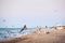 Man and woman run along the shoreline and scare away seabirds.