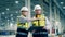 A man and a woman in safety wear are discussing factory facility. Modern factory facility, engineers working at