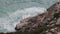 A man or woman takes pictures of storm waves on the shore.