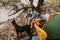 Man and woman and their doberman sitting in chairs outside the tent having coffee and talking. Couple camping