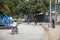 A man and a woman with their son riding bikes in the park near the playground wearing helmets surrounded by lush green trees