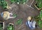 Man and woman together gardening work in the vegetable garden, place a plant in the ground, top view  with copy space
