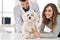 Man and woman veterinarian auscultating dog at veterinary clinic